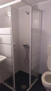 a shower with a glass door next to a toilet at Armenistis apartment in Armenistis +10 photos
