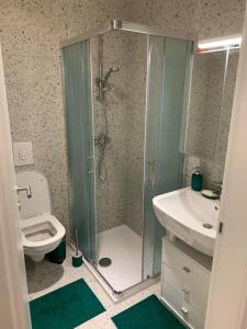 een badkamer met een douche, een toilet en een wastafel bij APARTMA KOPER ZVER in Koper