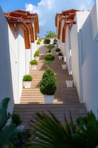 a stairway with potted plants on it at Hotel Olympia Touristic Village in Vlorë