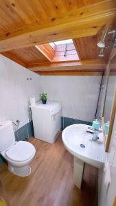 奧洛特的住宿－Precioso apartamento duplex en el centro de Olot，浴室配有白色卫生间和盥洗盆。