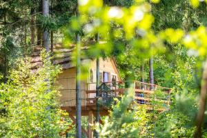 Zahrada ubytování Treehouse U lesa