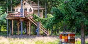 Zahrada ubytování Treehouse U lesa