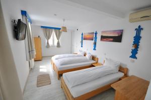 Gallery image of Pension Sharaiman in Dunavăţu de Jos
