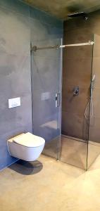 een badkamer met een toilet en een glazen douche bij Pakalni in Aizkraukle