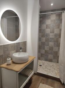 uma casa de banho com um lavatório e um espelho em Gîte le domaine de Dolly em Villeneuve-sur-Lot