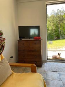 a living room with a tv and a dog looking out the window at Winnica Bracia Petrasz in Lisna