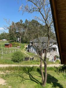a view of a farm from the porch of a house at Winnica Bracia Petrasz in Lisna