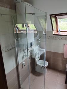 e bagno con servizi igienici e doccia in vetro. di Klára Vendégház a Badacsonyörs