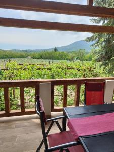 a porch with a table and chairs and a view of a vineyard at Klára Vendégház in Badacsonyörs