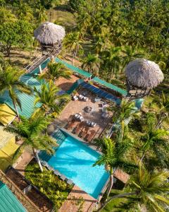 an overhead view of a swimming pool with palm trees at Hacienda Cocuyo in Monte Rojo