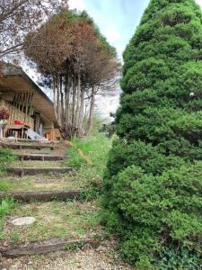 a group of stairs next to a house and a tree at Studio indépendant /2 personnes in Le Bugue
