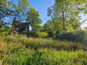 The Water Shack - Amazing tiny house retreat في وودبريدج: كوخ في الغابة بجانب بركة