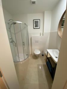 een badkamer met een douche, een toilet en een wastafel bij Apartmany Tachov - First Floor in Tachov