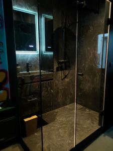 a shower with a glass door in a bathroom at Chambre Street Art in Capbreton