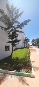 Κήπος έξω από το Résidence Alcudia Smir à plage Rifiyine