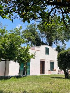 een huis op een heuvel met bomen op de voorgrond bij Villa Morea & Rooms in Procida in Procida