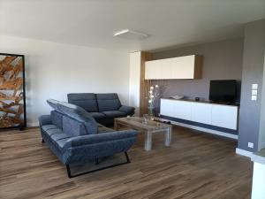 ein Wohnzimmer mit einem Sofa, einem Stuhl und einem TV in der Unterkunft Gîte Breizhome in Lampaul-Plouarzel