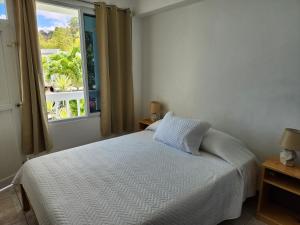 sypialnia z białym łóżkiem i oknem w obiekcie OEManagement Hotel Rooms w mieście Roseau