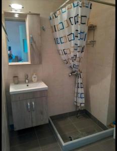 a bathroom with a shower with a sink and a mirror at Ktima Bavella Apartment Sophia 
