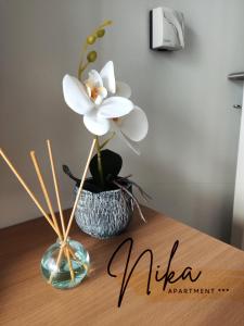 eine Vase mit einer weißen Blume auf dem Tisch in der Unterkunft Apartman Nika in Kragujevac