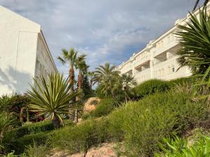 ein Gebäude mit Palmen und Pflanzen davor in der Unterkunft Casa del Mar in Zahara de los Atunes