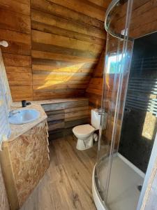 uma casa de banho com um WC, um lavatório e um chuveiro em Chalet en A de la Motte-Fanjas 