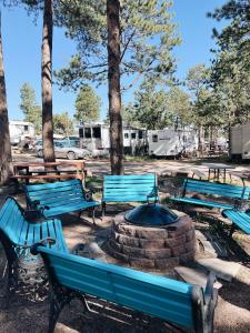 Cozy Cabin suite bed and breakfast في وودلاند بارك: مجموعة من المقاعد الزرقاء في حديقة مع الأشجار