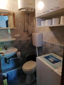 a small bathroom with a toilet and a sink at Apartments Misini Dvori in Stomorska