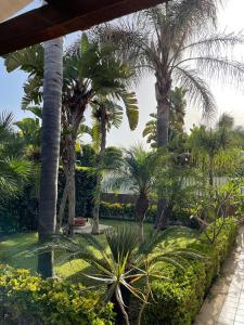 einen Garten mit Palmen und einem Weg in der Unterkunft Villa Antonella in Noto Marina