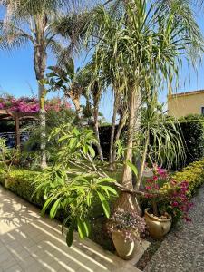 einen Garten mit Palmen und anderen Pflanzen und Blumen in der Unterkunft Villa Antonella in Noto Marina