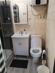 małą łazienkę z toaletą i umywalką w obiekcie Nadmorska Sarbinowo w Sarbinowie