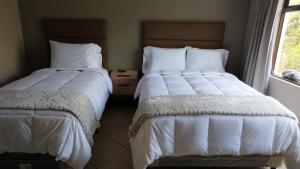 two beds sitting next to each other in a bedroom at L´Aurora Inn hostal in Guatemala