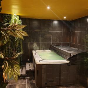 a bathroom with a bath tub in a room at Cour st Didier in Nevers