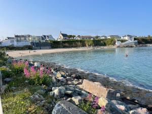 a beach with people swimming in the water and flowers at Coningbeg Cottage in Kilmore Quay