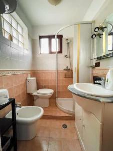 a bathroom with a sink and a toilet and a shower at Vila Kodra in Tirana