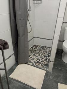 y baño con ducha y suelo de baldosa. en Studio tout confort en Provence Mont Ventoux., en Bédoin