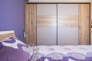 a bedroom with a bed with a glass closet at Olive Hill Apartment in Portorož