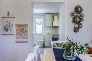 Kuchyň nebo kuchyňský kout v ubytování Margini's Country House