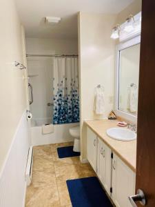 La salle de bains est pourvue d'un lavabo, de toilettes et d'une douche. dans l'établissement Parkside Inn, à Ellison Bay