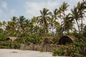 a group of palm trees and huts on a beach at Lote 10 Glamping in Guachaca