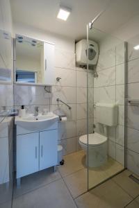 a bathroom with a toilet and a sink and a shower at Apartment Rose in Korčula