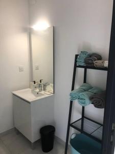 a bathroom with a sink and a mirror at * Maison de Ville en Pleine Nature * in Marseille