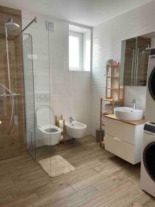a bathroom with a shower and a toilet and a sink at Mely Rose in Ljubljana