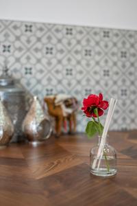 a red flower in a vase on a table at Le Petit Riad in Vilvoorde