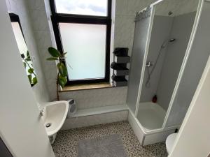 uma casa de banho com um chuveiro, um WC e um lavatório. em Cosy Studio in Kempen em Kempen