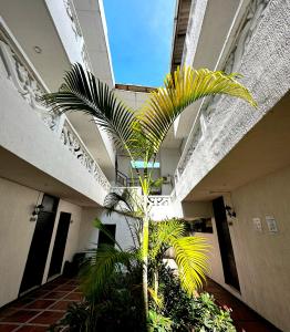 a palm tree in the middle of a building at Hotel Costa Caribe in Barranquilla