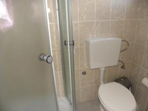 a bathroom with a toilet and a glass shower door at Apartment Ana Marija in Mavrovo