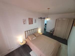 een slaapkamer met een bed met twee lampen erop bij Cocon Cosy in Clermont-Ferrand