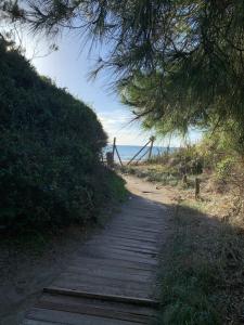 un chemin en bois menant à une plage avec l'océan dans l'établissement La Mazzanta, à Mazzanta