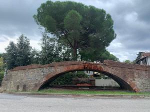 un vieux pont de briques avec un arbre derrière lui dans l'établissement La Mazzanta, à Mazzanta